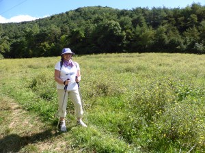 We took this picture because it shows that  there are places with more dandelions that at Forever House!