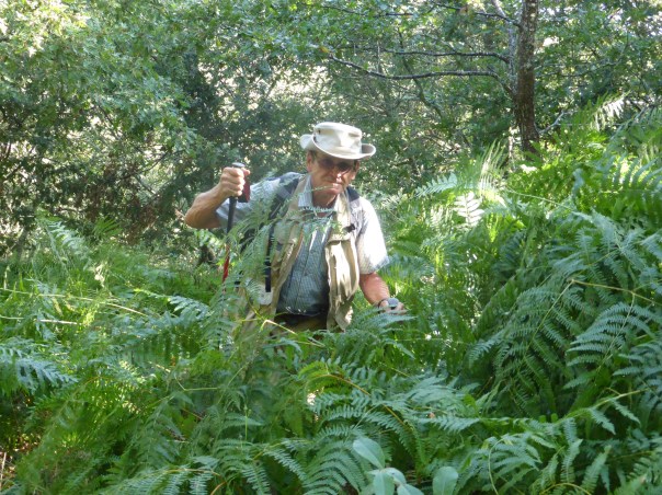Not all is good and clear going! Note the ferns - we are in wet climates on rain side of mountains