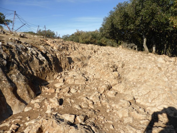 The steep climb to the top of the Matagrande ridge was a bit of a challenge. A couple of kms of rough going, great for  goats.