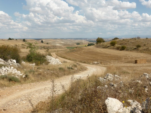 This gives you an idea of how parched the land is. Looks a lot like southern Alberta. Note how (lime) white the soil is. And note too, in the distance the green field - shows what water can do!