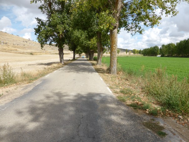 The difference irrigation can make!