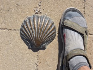 The Camino is signed with many different types of markers, all originating from the shell. One explanation of the shell: the lines represent the many camino routes towards Santiago.