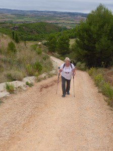 After every bridge is a hill up the other side, this one moderately steep