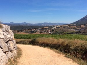 To give you an idea, it is just after 1 pm. See the second hill top from the left (about a third of the horizon from the left side), now come down from that green hill side and it looks like a brown valley - that is where we started this morning. A good but hilly - up and down, walk