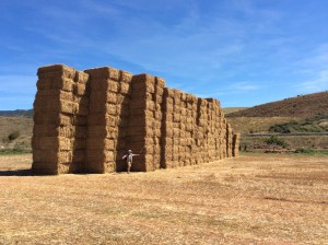 That is a lot of hay! We had never seen such large rectangular bales of hay, each about 3' x 5' x 8'