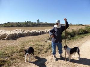 A sheep herder and his two working dogs - took bus to get to his herd. He also spoke four languages!