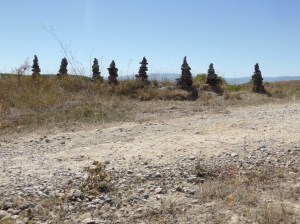 Yet another collection - these about 2 feet high