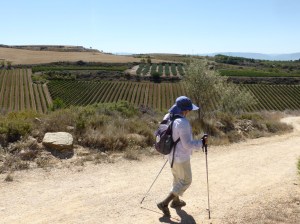 One of my favourite pictures