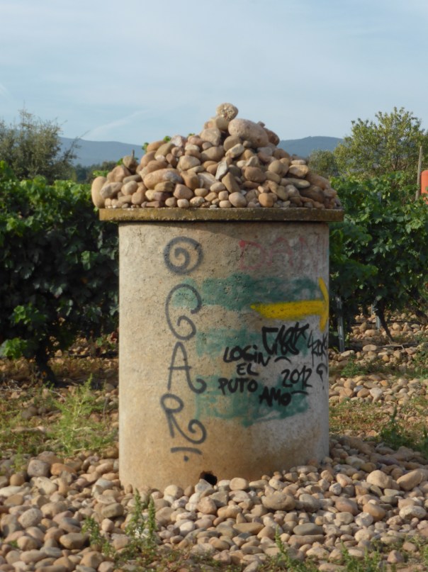 And then there are rocks...  this seems to be the worst soil in the world.