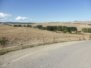 We don't know what he is, but he was cute. Like a small white chested, 6 inch long, gopher.