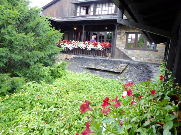 This is the second floor of our beautiful hotel in Cacabelos, the green  in the foreground is in fact the top side of an 8 foot ceiling of grape vines covering one of the 'outdoor' areas below.