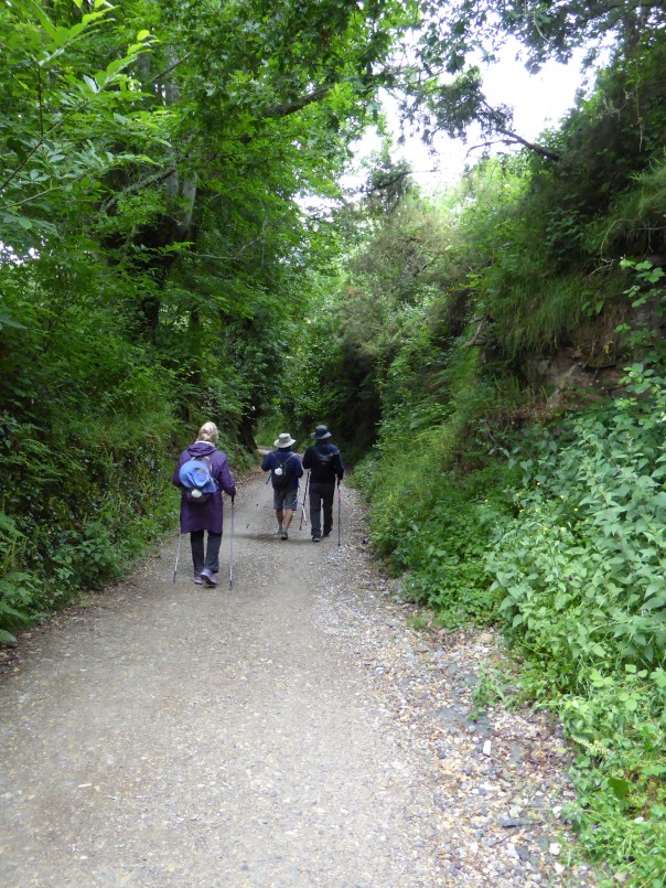 It was such a beautiful walk down the last 5 km or so into Tricasela. The canopy of green foliage kept the rain off us, it was like a nippy stroll through a green tunnel. 