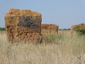 The re intents of a medieval grain storage building made of Adobe 