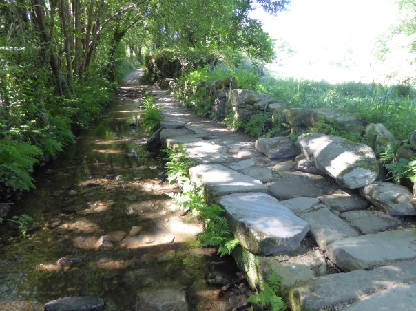 The solution to obstacles along the Camino is not always easy: here, huge stones - I am talking big: up to 3 feet x 1.5 by a foot deep have been placed over almost a hundred yards of river bottom. 