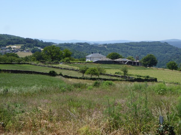 The Galician farm landscape is so reminiscent of Ireland. Stone hedges dividing small parcels of land. 