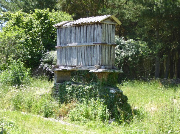 These are corn storage buildings called Horreos. At first we could not understand, they are small by Canadian farm storage standards but then we realized that many of  these farms are only a few acres. They don't need a 1000 bushel silo.