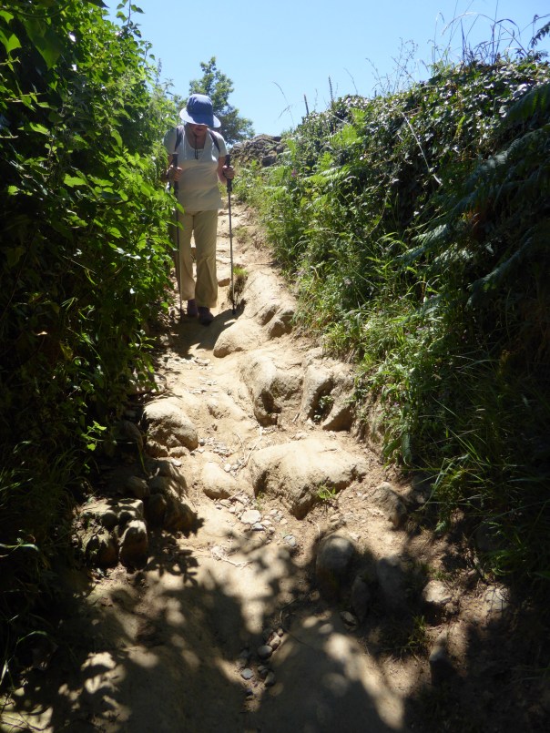 Why we don't wear Tevas very often. This is a 'down the hill' shortcut, rather than following the switchbacks of the road. There are times ( and they are many!) when we would rather take the muck longer route,