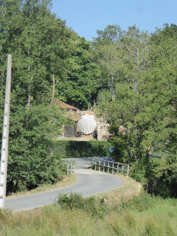 That has got to be the biggest Camino shell that we have seen!
