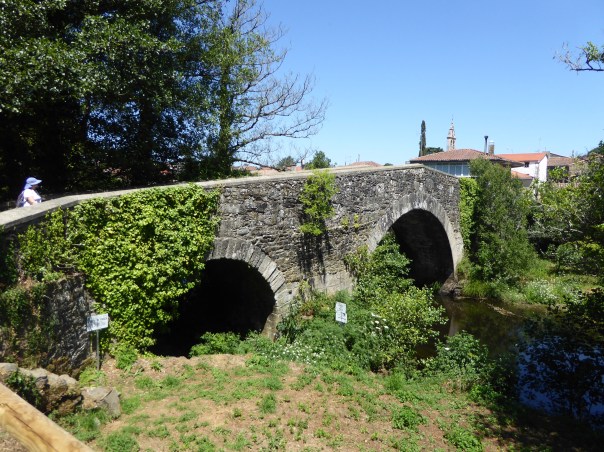 Love old bridges.  When ever I see one like this I am reminded of the bridge in Ken Follett's Pillars of the Earth!