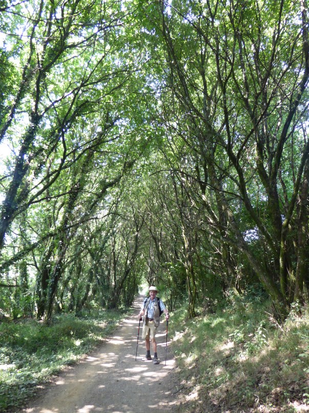 We know you have seen these shots before.... But it is so typical of many paths in the Camino - the umbrella of green provides welcome shade and probably lowers the temperature by as much as ten degrees. Today was hot - into the mid, maybe upper 30's so you can understand just how welcome this  was!