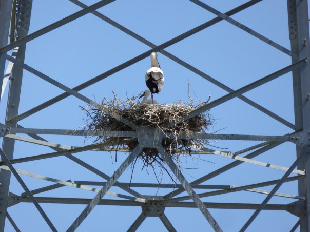 A new 'low rise' condo development.