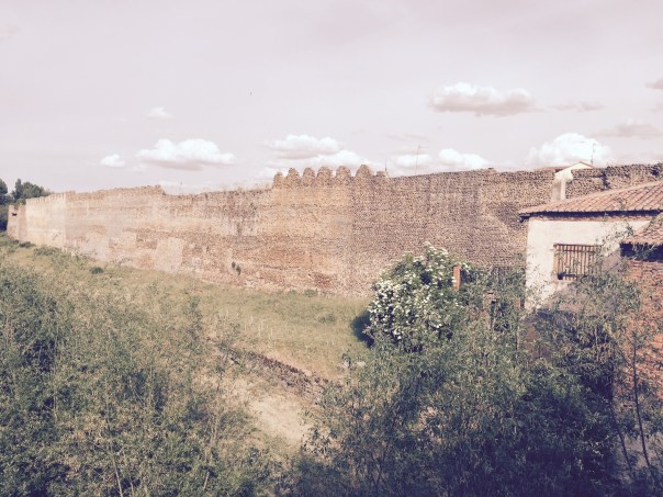 A portion of the wall circling the combined Roman and medieval town of Mansilla de las Mulas