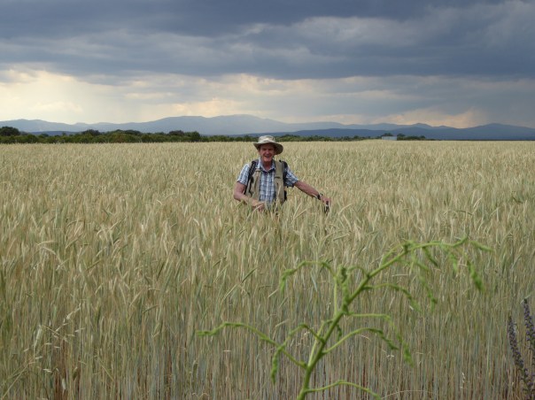 Later in the afternoon the storm clouds gathered ... It would be our first rain on the Camino. We were already exhausted and really didn't want it at that time!