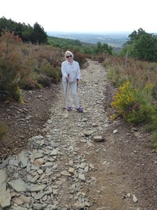 It all started out as a beautiful day .... A walk in the park!