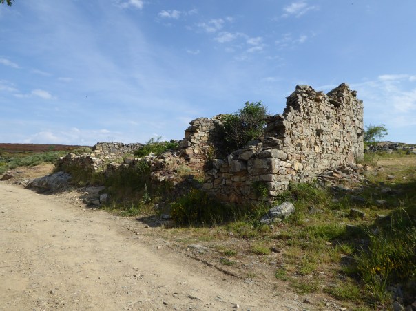 Until the recent resurgence of interest in the Camino ( last year over 225,000 registered to do some portion of it) this area was in economic ruin. These stone walls are all that is left of centuries old buildings. 